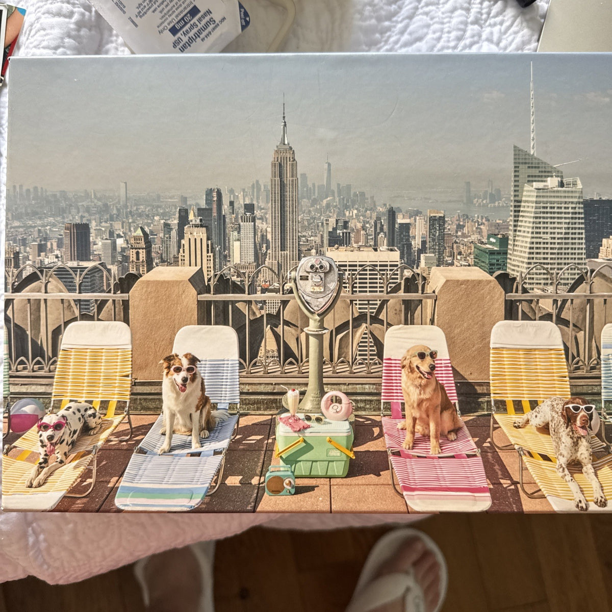 Gray Malin the Dogs of New York City 1000 Piece Puzzle by Galison (2023,...